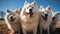 A group of white dogs with their tongue out. Generative AI.