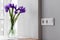 Group of white european electrical outlets and a switch located on a gray wall in a light modern kitchen with bouquet of irises