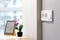 Group of white european electrical outlets and a switch located on a gray wall in a light modern kitchen with flower and e-book