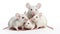 A group of white mice sitting on top of each other, laboratory mice, animal research concept image.