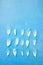 Group of white petals isolated on blue. White petal with turquoise background
