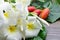 A group of white plumeria flower and red gourd