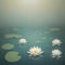 A group of white water lilies floating on top of a lake.