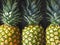 Group of whole ripe pineapples on a wooden shelf