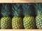 Group of whole ripe pineapples on a wooden shelf