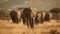 A group of wild African elephants marching through a dry savanna landscape created with Generative AI