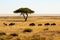 Group of wildebeests walking around in Etosha National Park