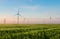 Group of windmills for electric power production in the green field of wheat