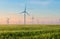 Group of windmills for electric power production in the green field of wheat