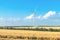 A group of windmills for generating electricity on a yellow ripe wheat field. Windmills and beautiful steppe landscape