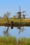 A group of windmills in kinderdijk with trees, river water reflection and long grass in foreground