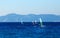 Group of windsurfers on a background mountains in the Aegean sea . Greece