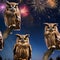 A group of wise-looking owls perched on a branch, watching fireworks burst into the night sky5