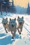 A group of wolfs running in the snow