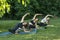 Group of woman attending yoga class outside in park. Youth and sports concept. Girls doing fitness outdoors