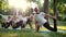 Group of women are exercising in park moving from one position into another