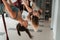 A group of women are hanging upside down on hanging hammocks. Fly yoga in the gym