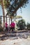 Group of women practicing tyres obstacle course