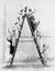 Group of women on tall ladder