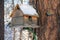 A group of wood tits get food in a tree feeder