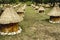 Group wooden bee hives with thatched roof