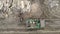 A group of workers loading wood on a truck. Deforestation, loading timber on a car