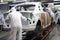 A Group of Workers Painting a Car Body in the Assembly Line