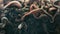 Group of wriggling marine rock worms in mud underwater, close up