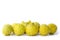 Group of Yellow bergamot in white background