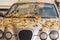 Group of yellow and orange leaves is on the hood and windshield of a beautiful silver car in autumn