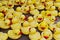 Group of yellow rubber ducks closeup view. Rubber duck race festival concept