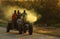 A group of young African black men ride a small tractor on a dirt road, picking up dust at sunset