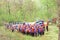 GROUP OF YOUNG ATHLETES TRAINING FOR WHITEWATER RAFTING