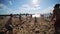 Group of young attractive people joyfully play valleyball on sunny summer beach