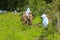 Group of young beekeepers are about to visit beehives.