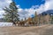 A group of young Bighorn Sheeps (ewe and lamb) on the snowy mountain road. Banff National Park in October