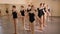 A group of young elegant girls in a ballet school near the ballet barre.