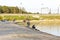 A group of young fishermen fishing in the Gulf of Berdsk