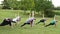 A group of young friends do yoga in nature. The concept of sports and recreation. Friends have a good time