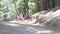 Group Of Young Friends Walking Through Countryside