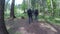 Group of young and healthy people hiking through woods -