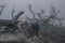 A group of young hikers crossing a landscape of a burned forest around the Volcanic cone in the danger zone in the Turrialba