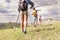 Group of young hikers in the mountain in single file