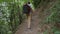 Group of Young Hiking Friends Walking in Forest. Rear Back View of Trekking Teenagers on Trek with Backpacks. HD