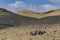 A group of young and old people stopped to rest in the rocky Israeli desert with a guide in front and a guard from behind on a hot