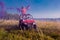 Group of young people having fun while driving a off road buggy car