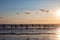 Group of young surfers on the beach