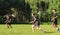 Group of young teenagers people in team wear playing a frisbee game in park oudoors. man tosses a frisbee to a teammate in an