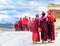 Group of Young tibetan Monks in Sichuan