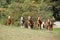 Group of young western horses moving